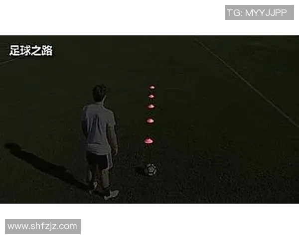 从零起步掌握网球技巧与战术全解析助你成为场上高手