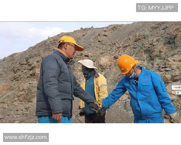 北京乒乓球队的拼搏历程与挑战赛背后的奋斗故事分享